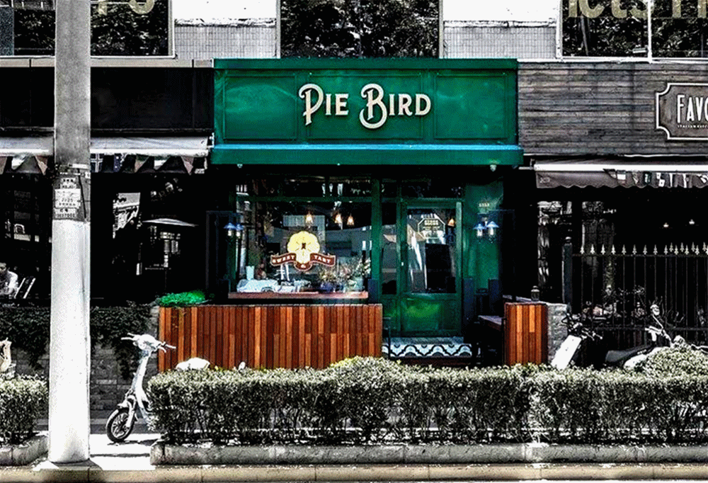 Pie Bird 闪图