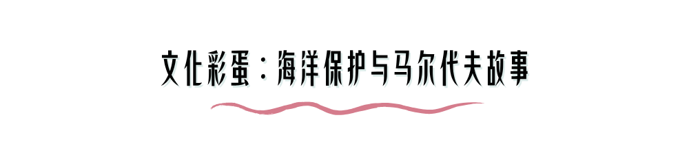 微信图片_20250530145938