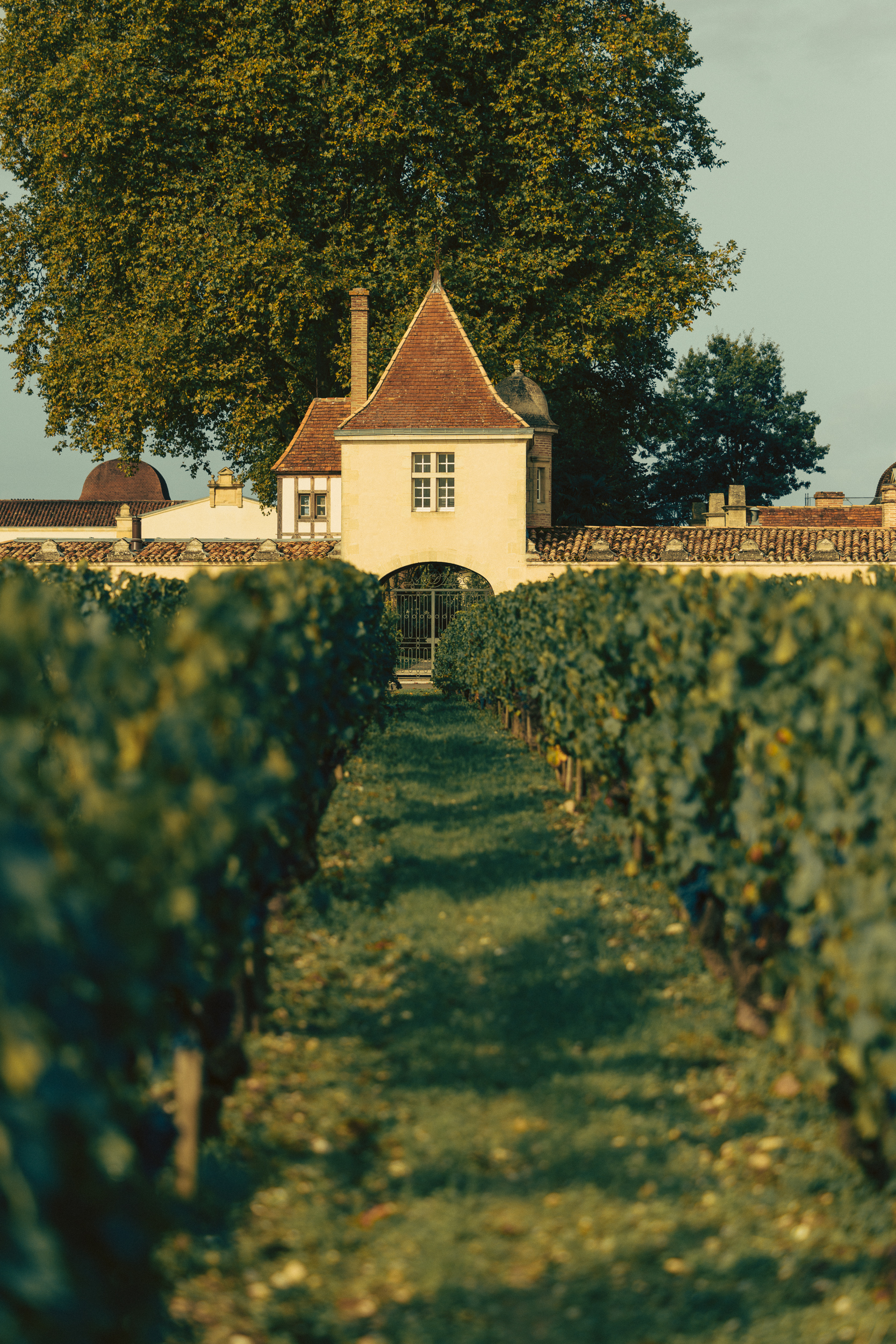 WEB_Vendanges25_Rauzan-4955