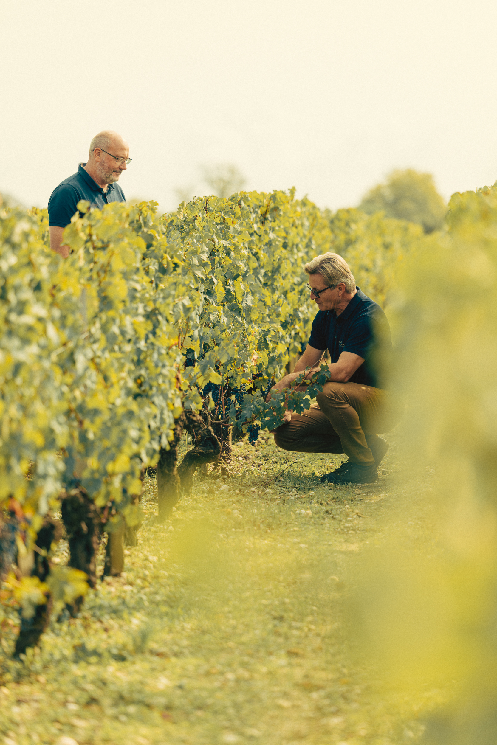 WEB_Vendanges25_Rauzan-5050